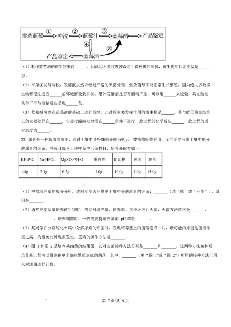 内蒙古自治区乌兰察布市集宁区第二中学2024-2025学年高二下学期4月月考生物试题Word版无答案_2024-2025高二（7-7月题库）_2025年05月试卷
