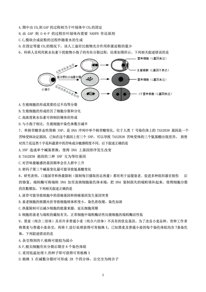 浙江省杭州第二中学2022-2023学年高三下学期3月月考生物试题_2024年2月_01每日更新_14号_2023届浙江省杭州第二中学高三下学期3月月考全科