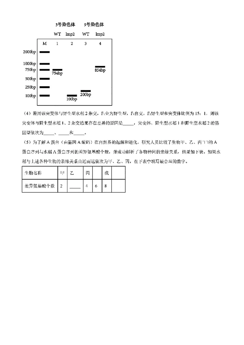 江西-生物含答案(1)_2024年2月_2024年九省联考各版本合集_江西（物生政地）
