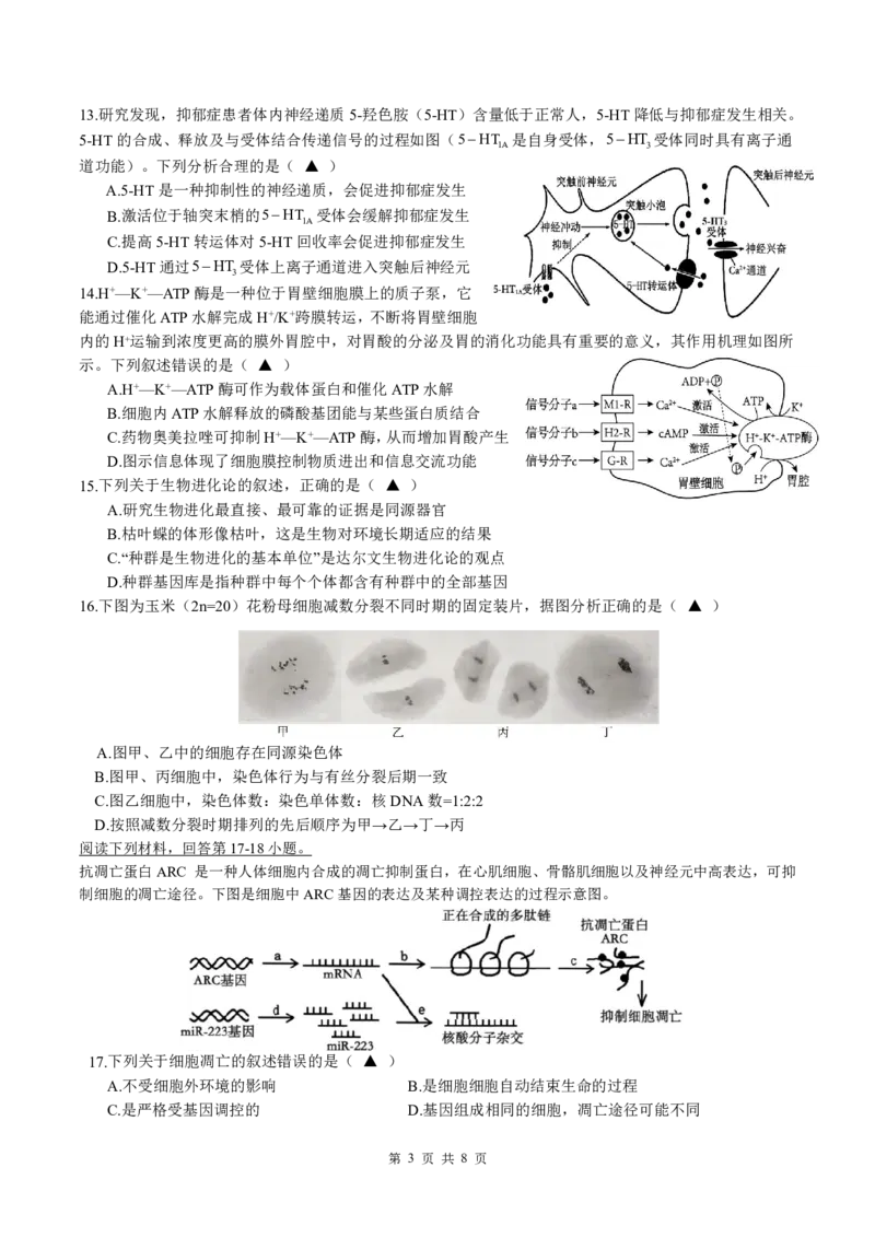 余姚中学2024学年第二学期质量检测高二生物学科试卷(修改版)_2024-2025高二（7-7月题库）_2025年03月试卷_0320浙江省余姚中学2024-2025学年高二下学期3月月考试题
