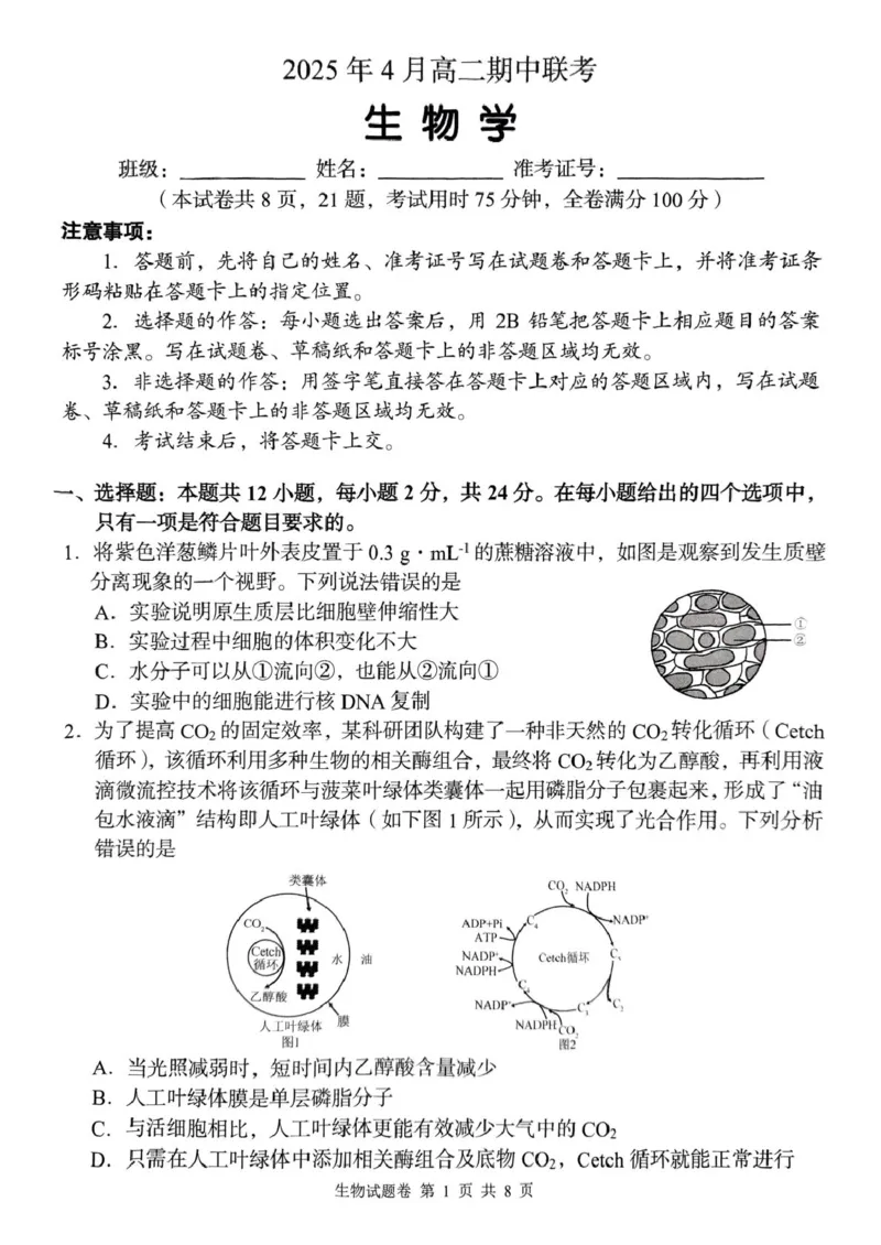 A佳2025年4月高二期中联考_生物学（试题卷）_2024-2025高二（7-7月题库）_2025年05月试卷_0518湖南省三新协作体2024-2025学年高二下学期4月期中联考
