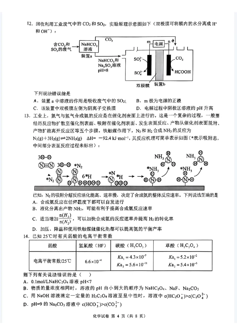 2024年&ldquo;江南十校&rdquo;新高三第一次综合素质检测化学试题_2024-2025高三（6-6月题库）_2024年10月试卷_1011安徽省江南十校2024-2025学年高三上学期第一次综合素质检测
