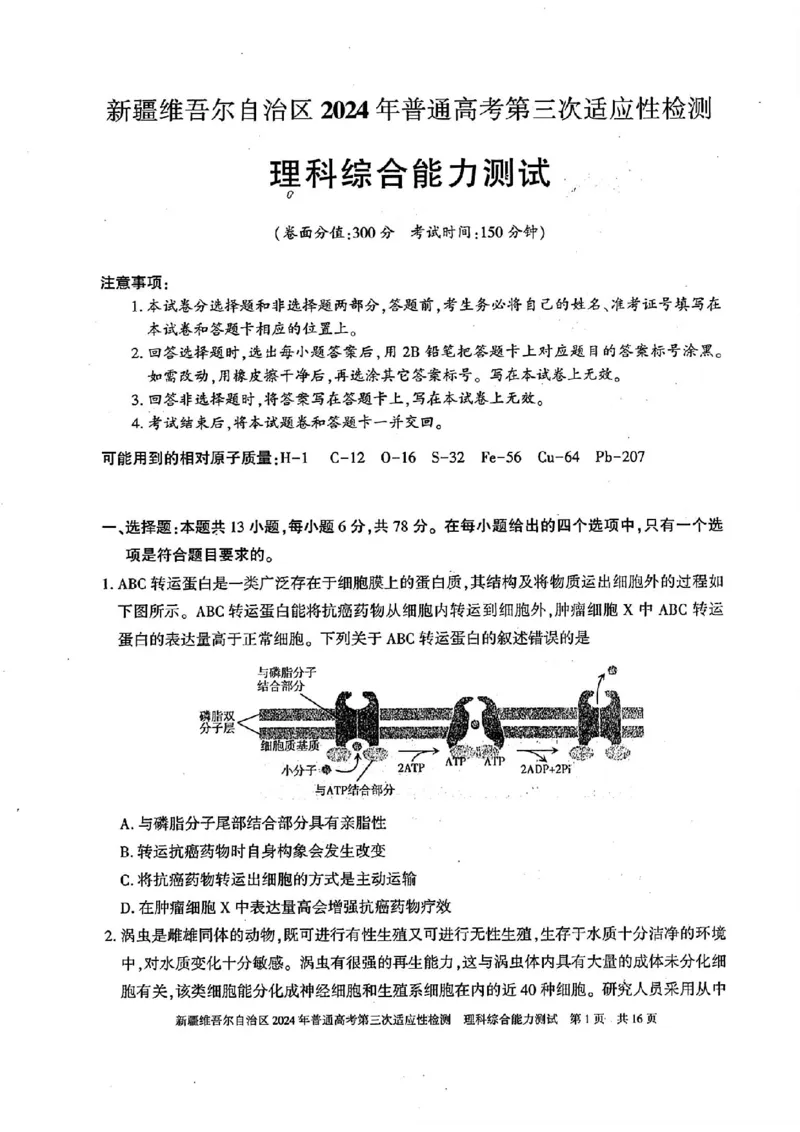 新疆三模理综试题_2024年5月_01按日期_11号_2024届新疆维吾尔自治区高三下学期第三次适应性检测_2024届新疆维吾尔自治区高三下学期第三次适应性检测理综