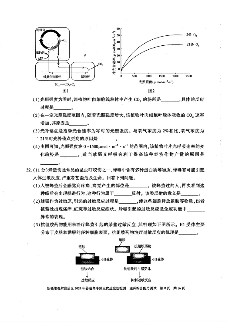 新疆三模理综试题_2024年5月_01按日期_11号_2024届新疆维吾尔自治区高三下学期第三次适应性检测_2024届新疆维吾尔自治区高三下学期第三次适应性检测理综
