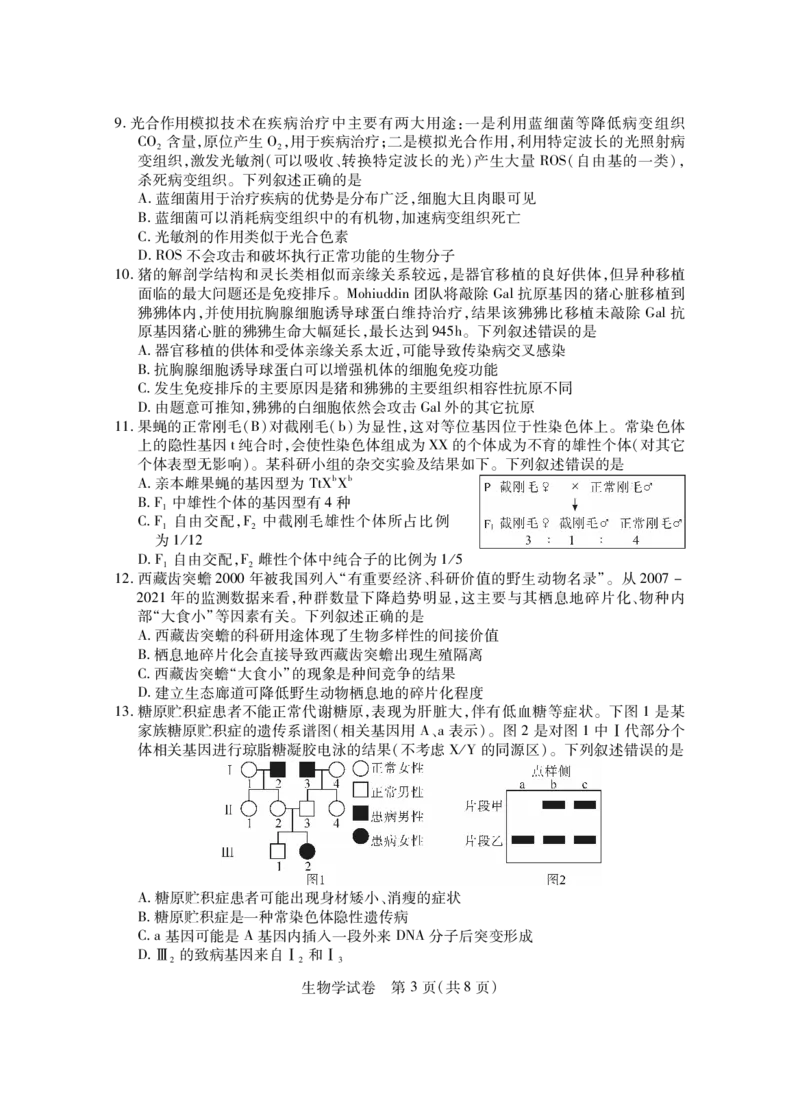 湖北七市州生物试卷_2024年3月_013月合集_2024届湖北省七市州高三年级3月联合统一调研测试_2024年湖北省七市州高三年级3月联合统一调研测试生物