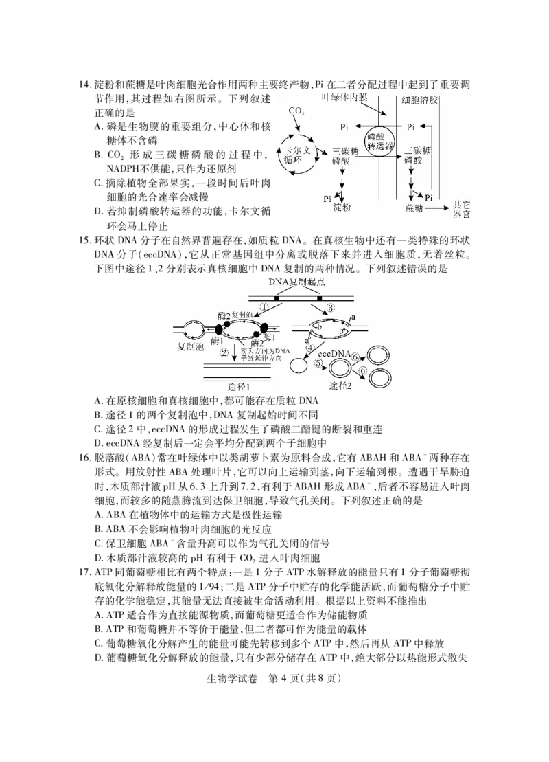 湖北七市州生物试卷_2024年3月_013月合集_2024届湖北省七市州高三年级3月联合统一调研测试_2024年湖北省七市州高三年级3月联合统一调研测试生物