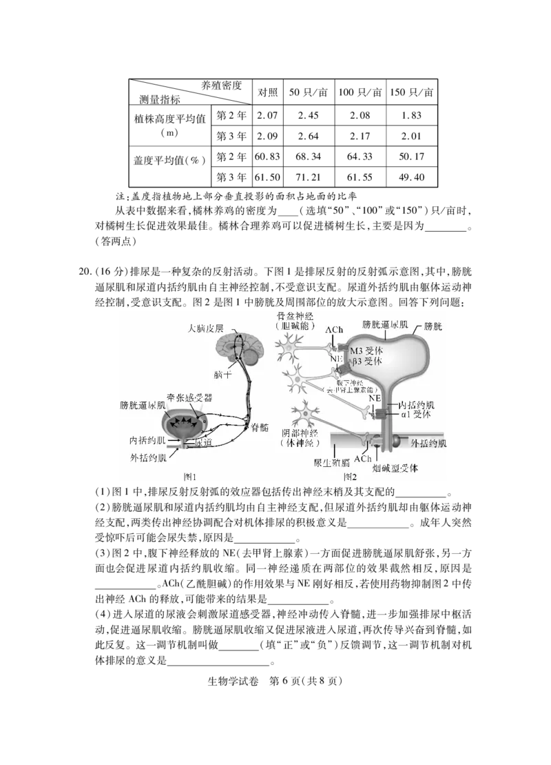 湖北七市州生物试卷_2024年3月_013月合集_2024届湖北省七市州高三年级3月联合统一调研测试_2024年湖北省七市州高三年级3月联合统一调研测试生物