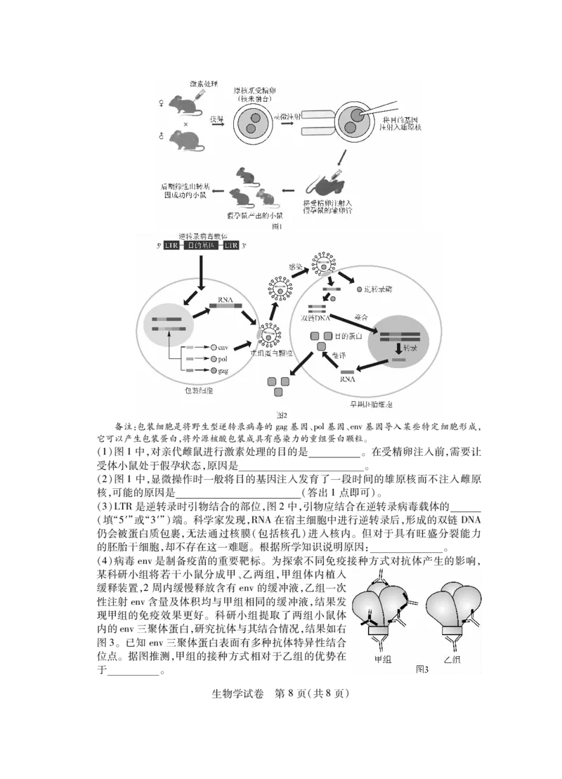 湖北七市州生物试卷_2024年3月_013月合集_2024届湖北省七市州高三年级3月联合统一调研测试_2024年湖北省七市州高三年级3月联合统一调研测试生物