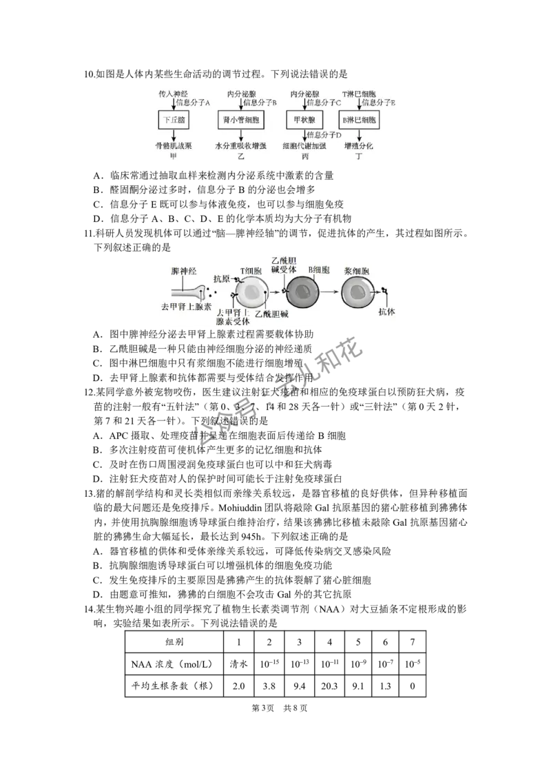 12月生物学试题_2024-2025高二（7-7月题库）_2024年12月试卷_1227四川省绵阳市南山中学2024-2025学年高二上学期12月月考