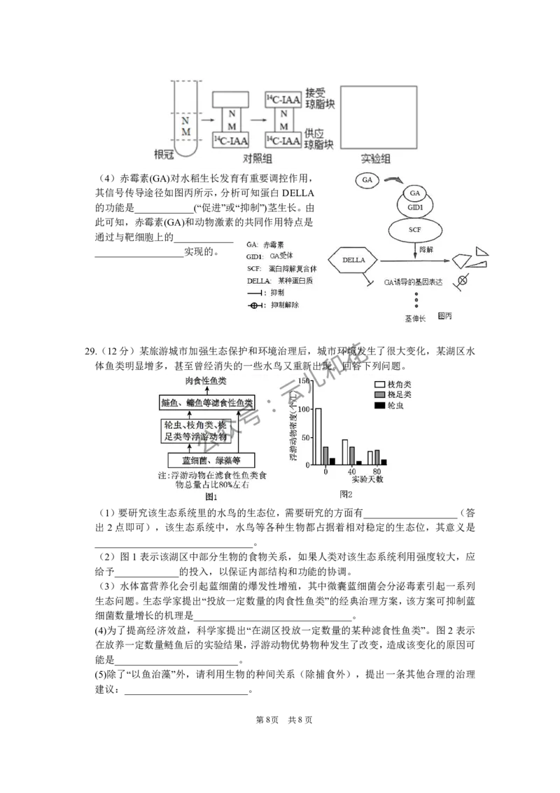 12月生物学试题_2024-2025高二（7-7月题库）_2024年12月试卷_1227四川省绵阳市南山中学2024-2025学年高二上学期12月月考