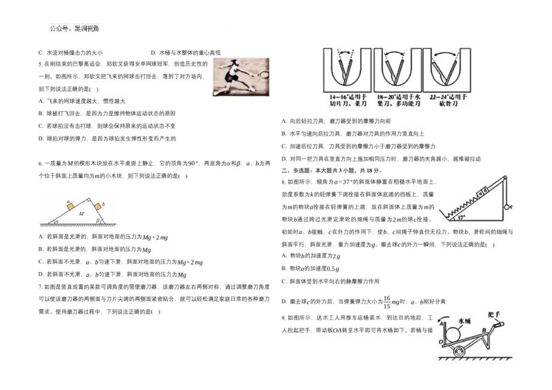 2025届广东省联考高三上学期10月第一次模拟（一模）物理试题+答案_2024-2025高三（6-6月题库）_2024年10月试卷_1020广东省（雷州市龙门中学、客路中学）两校2025届高三10月第一次模拟考试