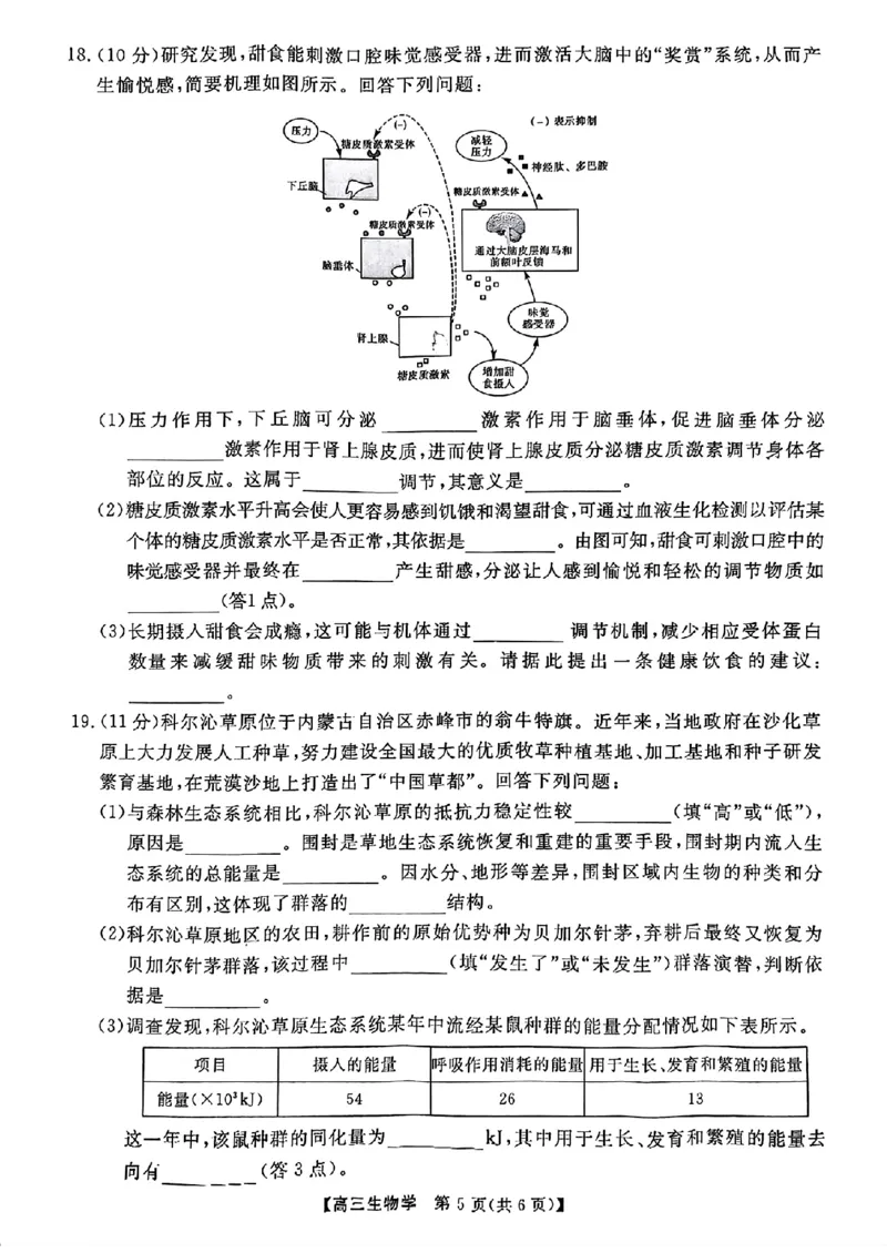 2025届金科大联考高三下学期2月质检生物+答案_2024-2025高三（6-6月题库）_2025年02月试卷_02172025届金科大联考高三下学期2月质量检测（全科）