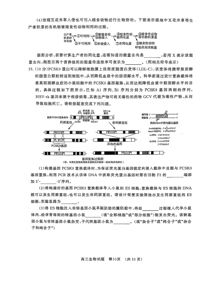 2025届山东省名校联盟高三下学期2月开学考试生物试题+答案_2024-2025高三（6-6月题库）_2025年02月试卷_02172025届山东省名校联盟高三下学期2月开学考试（全科）