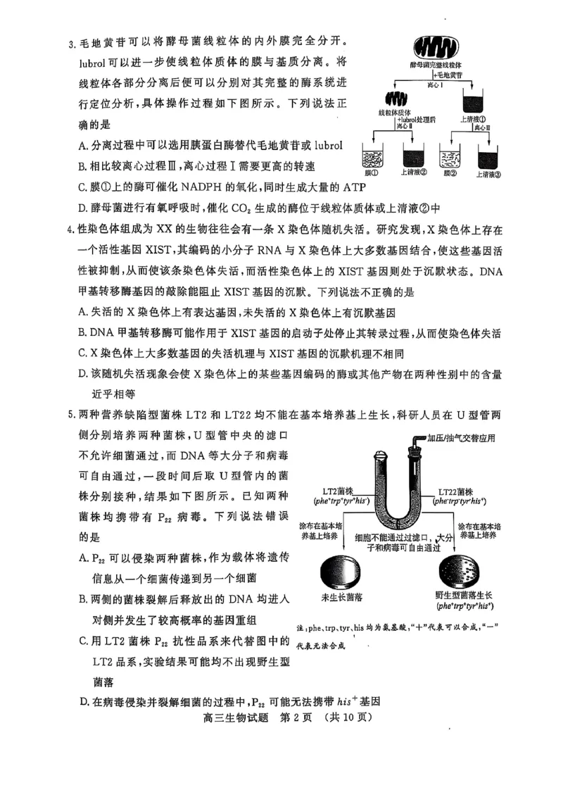 2025届山东省名校联盟高三下学期2月开学考试生物试题+答案_2024-2025高三（6-6月题库）_2025年02月试卷_02172025届山东省名校联盟高三下学期2月开学考试（全科）