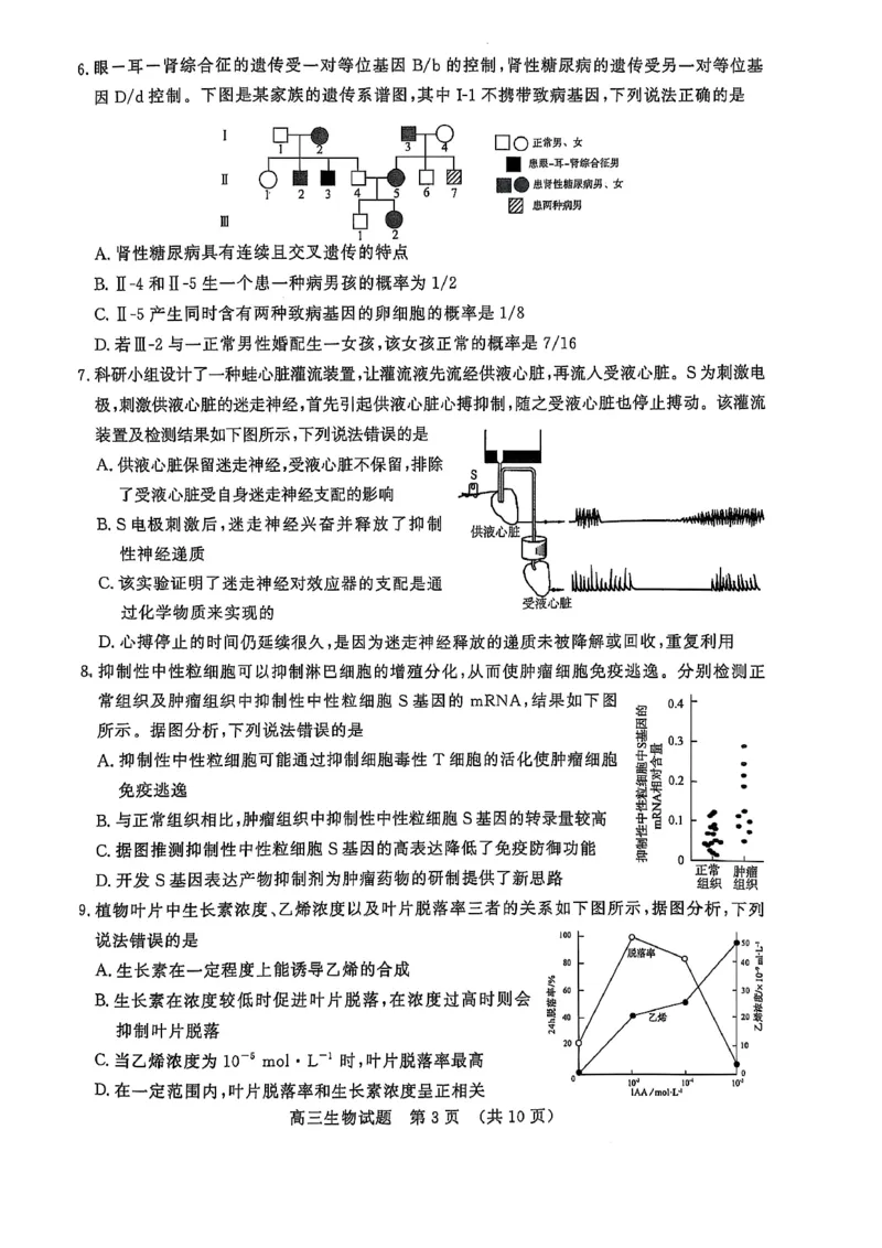 2025届山东省名校联盟高三下学期2月开学考试生物试题+答案_2024-2025高三（6-6月题库）_2025年02月试卷_02172025届山东省名校联盟高三下学期2月开学考试（全科）
