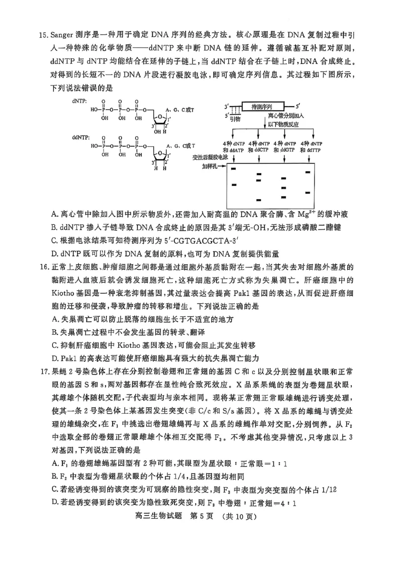 2025届山东省名校联盟高三下学期2月开学考试生物试题+答案_2024-2025高三（6-6月题库）_2025年02月试卷_02172025届山东省名校联盟高三下学期2月开学考试（全科）