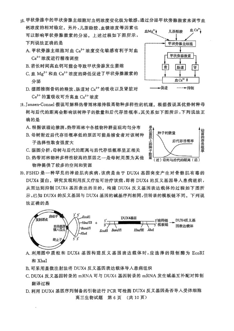 2025届山东省名校联盟高三下学期2月开学考试生物试题+答案_2024-2025高三（6-6月题库）_2025年02月试卷_02172025届山东省名校联盟高三下学期2月开学考试（全科）