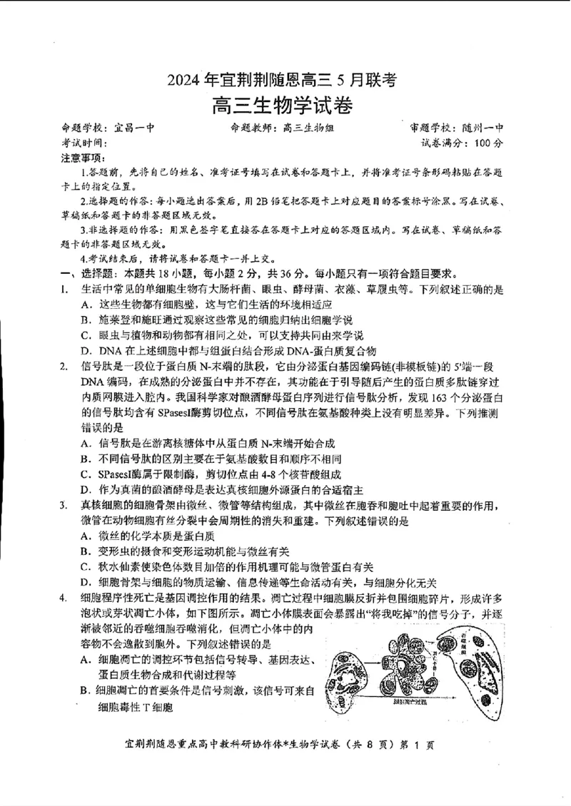 湖北省2024年宜荆荆随恩高三5月联考（二模）生物试题+答案(1)_2024年5月_025月合集_2024届湖北省宜荆荆随恩高三下学期5月联考(二模)