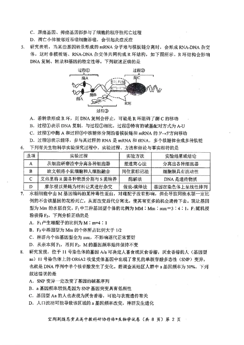 湖北省2024年宜荆荆随恩高三5月联考（二模）生物试题+答案(1)_2024年5月_025月合集_2024届湖北省宜荆荆随恩高三下学期5月联考(二模)