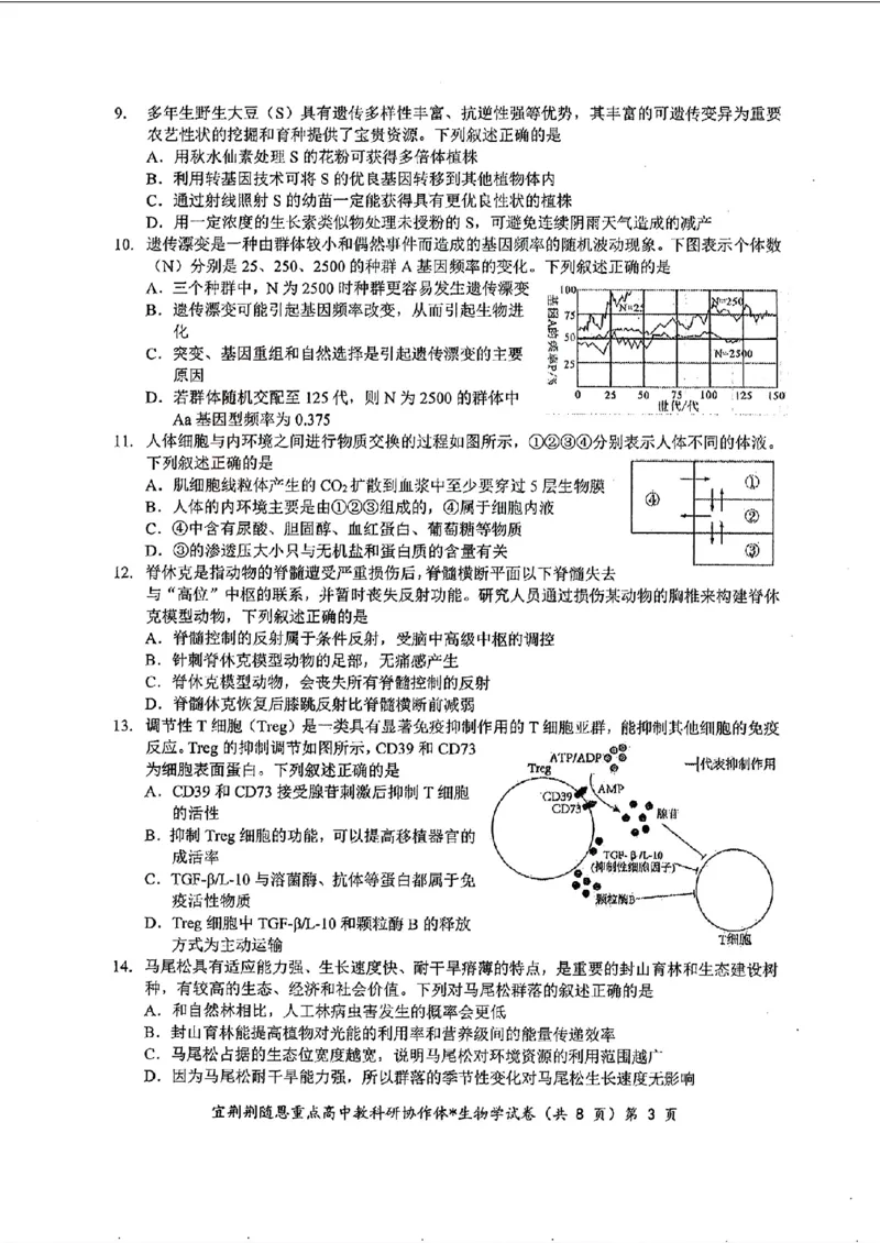 湖北省2024年宜荆荆随恩高三5月联考（二模）生物试题+答案(1)_2024年5月_025月合集_2024届湖北省宜荆荆随恩高三下学期5月联考(二模)