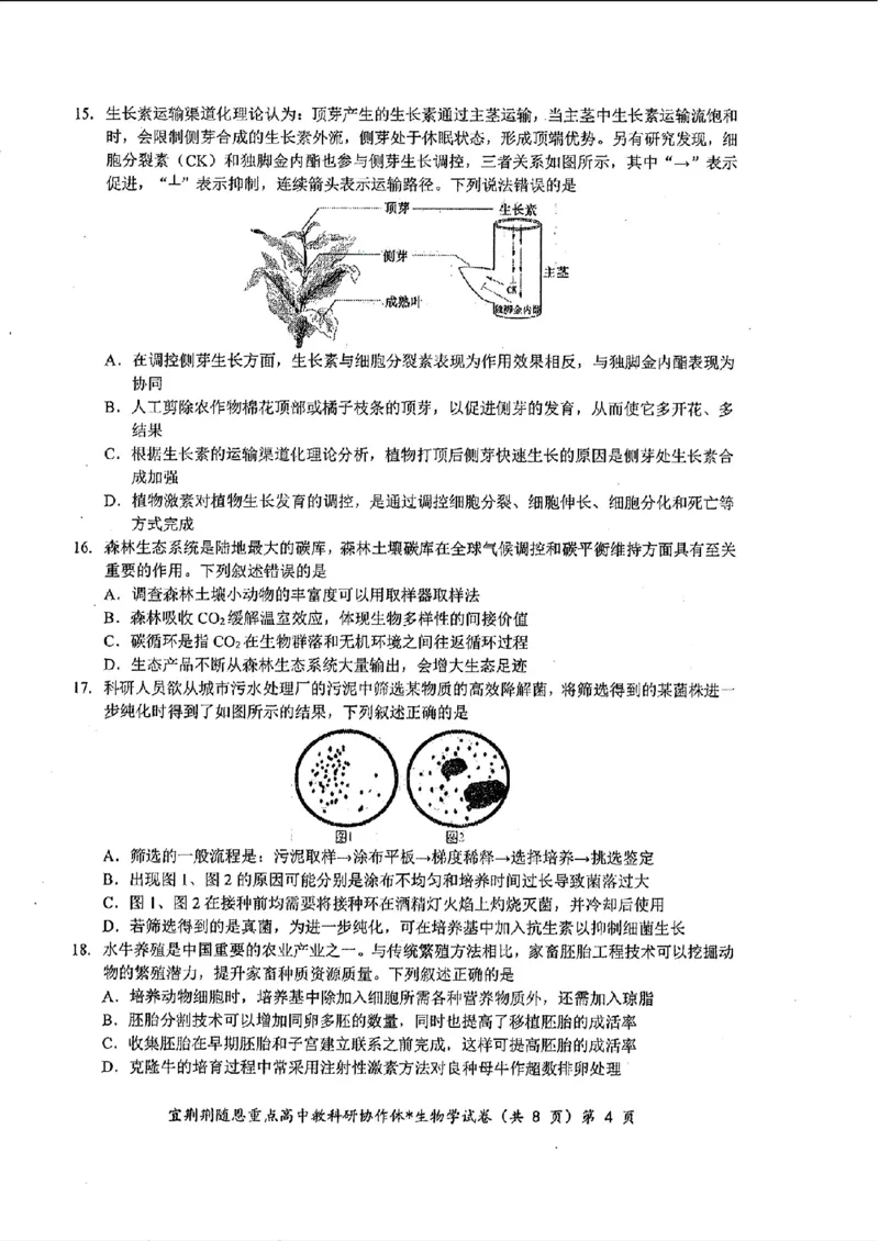 湖北省2024年宜荆荆随恩高三5月联考（二模）生物试题+答案(1)_2024年5月_025月合集_2024届湖北省宜荆荆随恩高三下学期5月联考(二模)