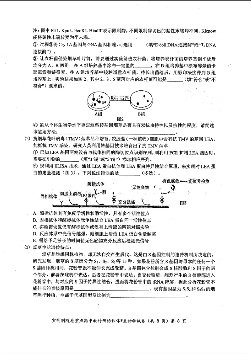 湖北省2024年宜荆荆随恩高三5月联考（二模）生物试题+答案(1)_2024年5月_025月合集_2024届湖北省宜荆荆随恩高三下学期5月联考(二模)