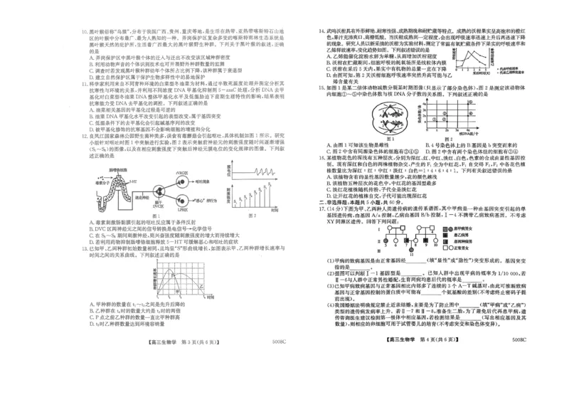 2025届广西南宁市普通高中毕业班摸底测试生物+答案_2024-2025高三（6-6月题库）_2024年09月试卷_0922广西南宁市2024-2025学年高三上学期普通高中毕业班摸底测试