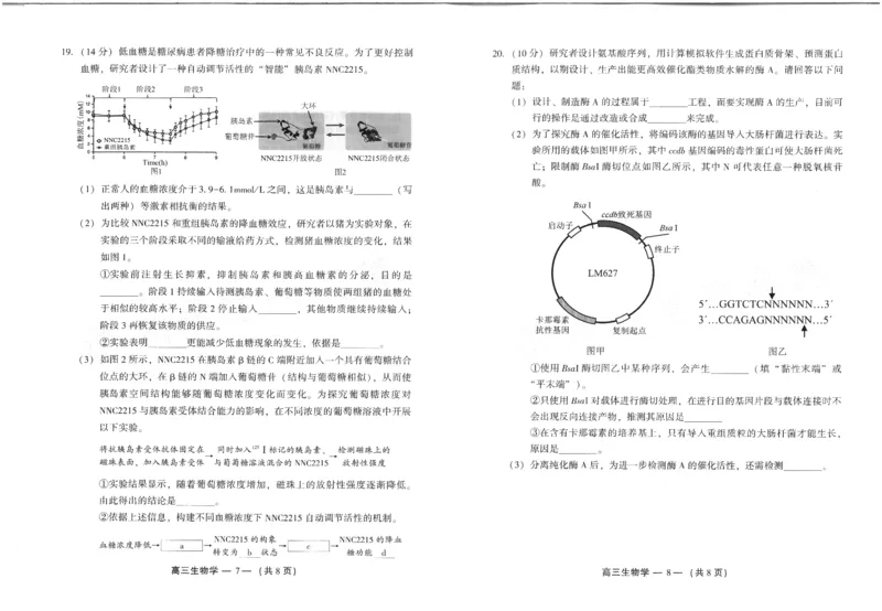 2024-2025学年福州市高三年级第四次质量检测生物_2024-2025高三（6-6月题库）_2025年04月试卷_0429福建省2024-2025学年福州市高三年级第四次质量检测（全科）