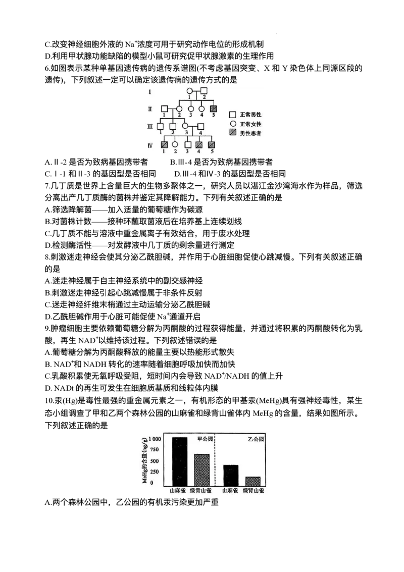 2025届广东衡水金卷高三下学期2月大联考生物试卷+答案_2024-2025高三（6-6月题库）_2025年02月试卷_02172025届广东省衡水金卷高三2月份大联考（全科）
