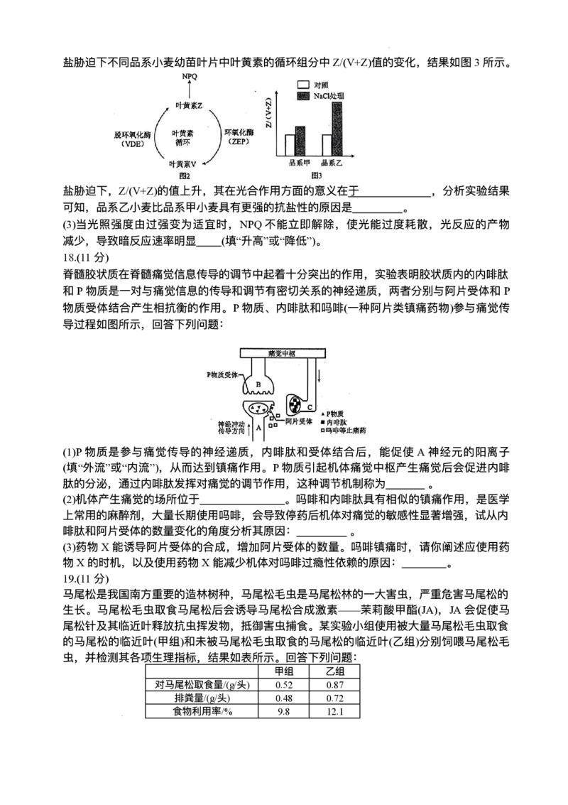 2025届广东衡水金卷高三下学期2月大联考生物试卷+答案_2024-2025高三（6-6月题库）_2025年02月试卷_02172025届广东省衡水金卷高三2月份大联考（全科）
