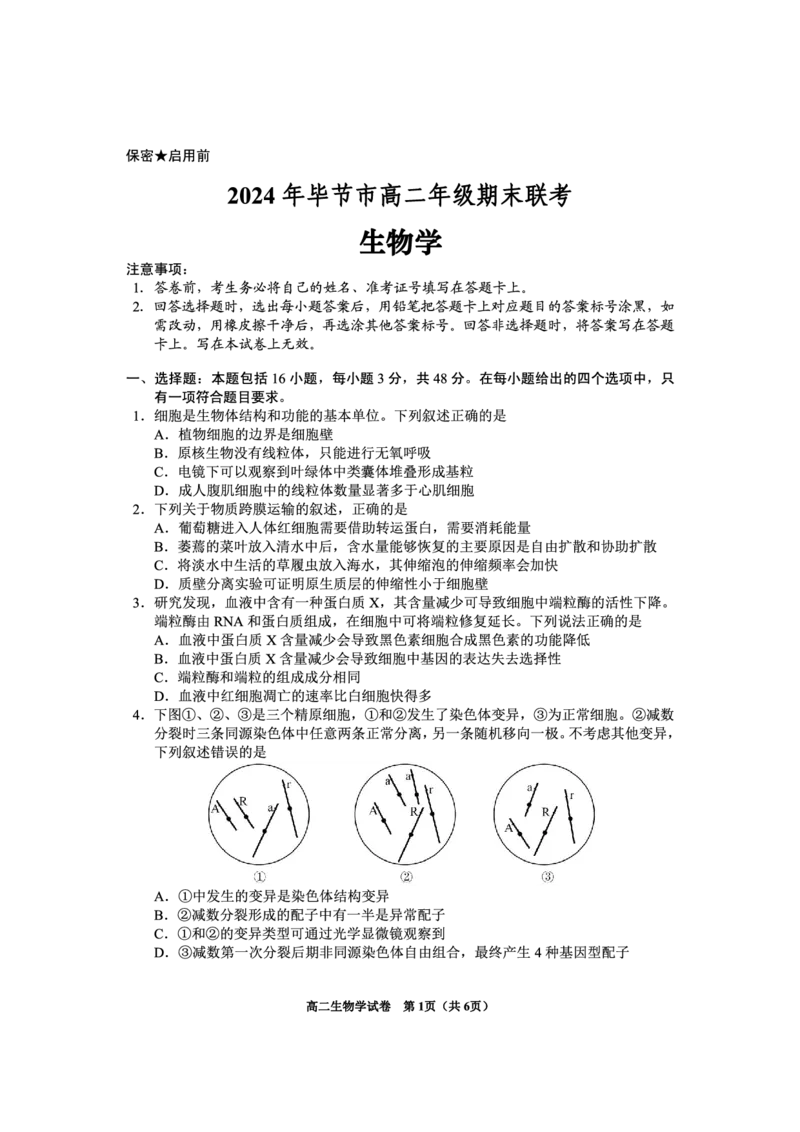 2024年毕节市高二年级期末联考+生物_2024-2025高三（6-6月题库）_2024年07月试卷_2407162024年贵州省毕节市高二年级期末联考