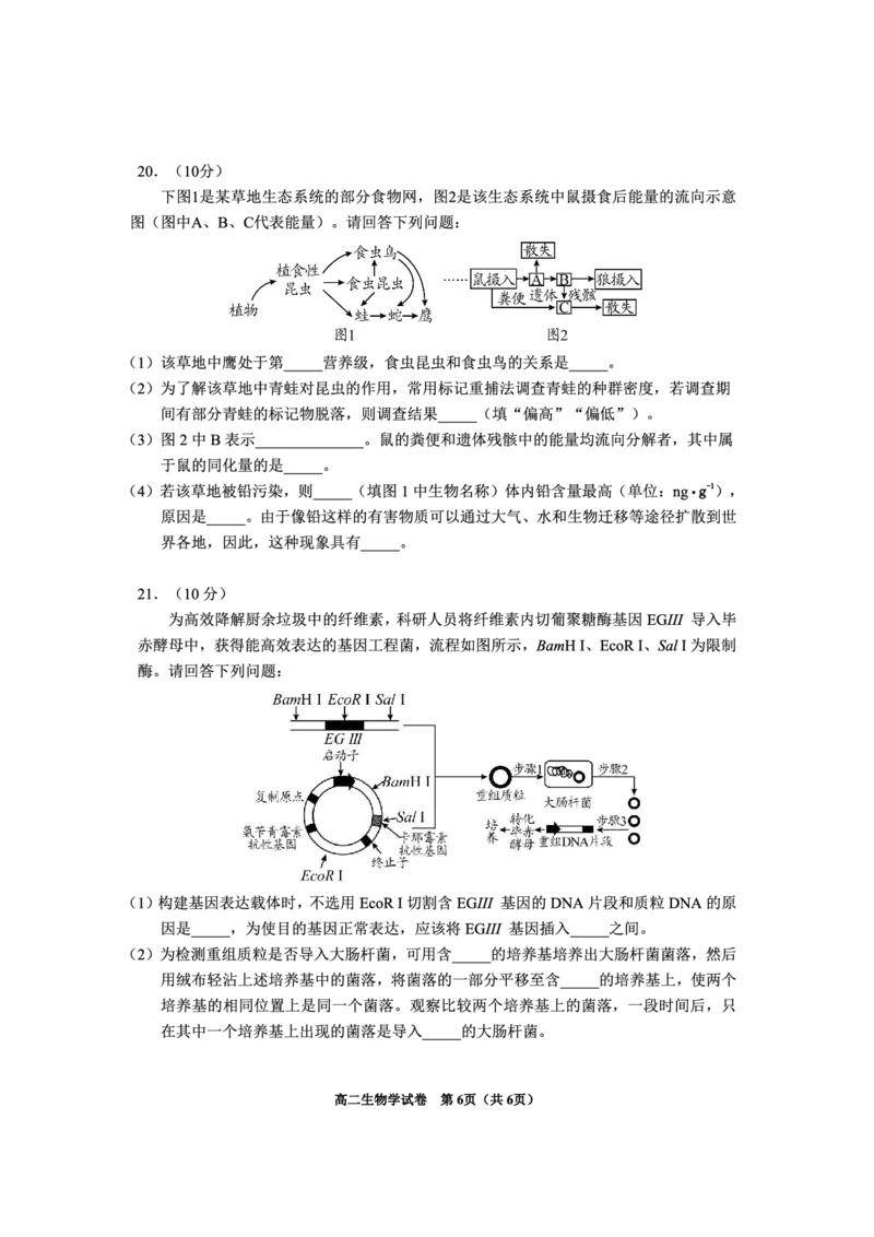 2024年毕节市高二年级期末联考+生物_2024-2025高三（6-6月题库）_2024年07月试卷_2407162024年贵州省毕节市高二年级期末联考