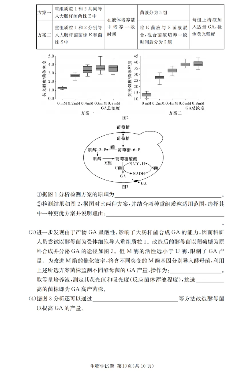 2025届湖南省长沙市第一中学高三上学期摸底考试生物试题+答案_2024-2025高三（6-6月题库）_2024年09月试卷_0920湖南省长沙市第一中学2024-2025学年高三上学期摸底考试