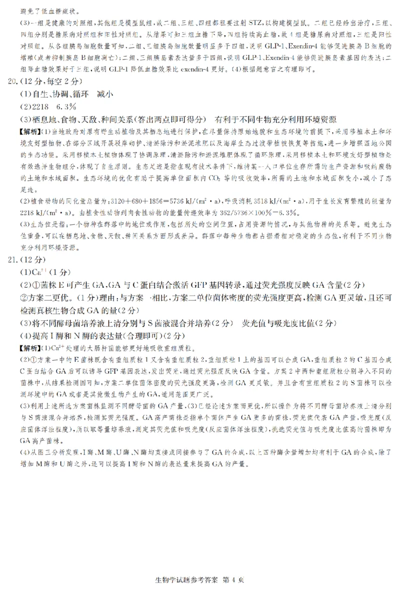 2025届湖南省长沙市第一中学高三上学期摸底考试生物试题+答案_2024-2025高三（6-6月题库）_2024年09月试卷_0920湖南省长沙市第一中学2024-2025学年高三上学期摸底考试