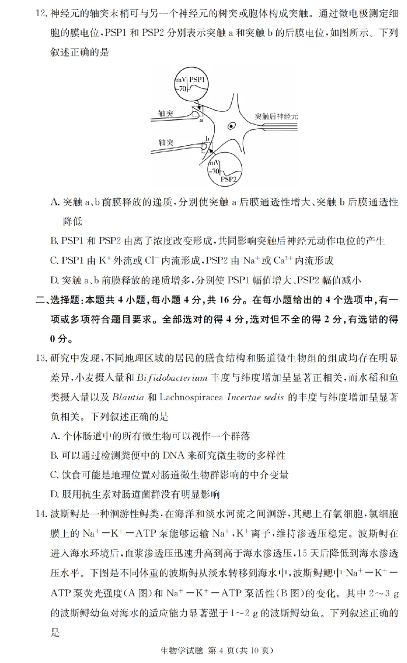 2025届湖南省长沙市第一中学高三上学期摸底考试生物试题+答案_2024-2025高三（6-6月题库）_2024年09月试卷_0920湖南省长沙市第一中学2024-2025学年高三上学期摸底考试