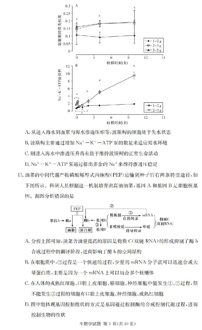 2025届湖南省长沙市第一中学高三上学期摸底考试生物试题+答案_2024-2025高三（6-6月题库）_2024年09月试卷_0920湖南省长沙市第一中学2024-2025学年高三上学期摸底考试
