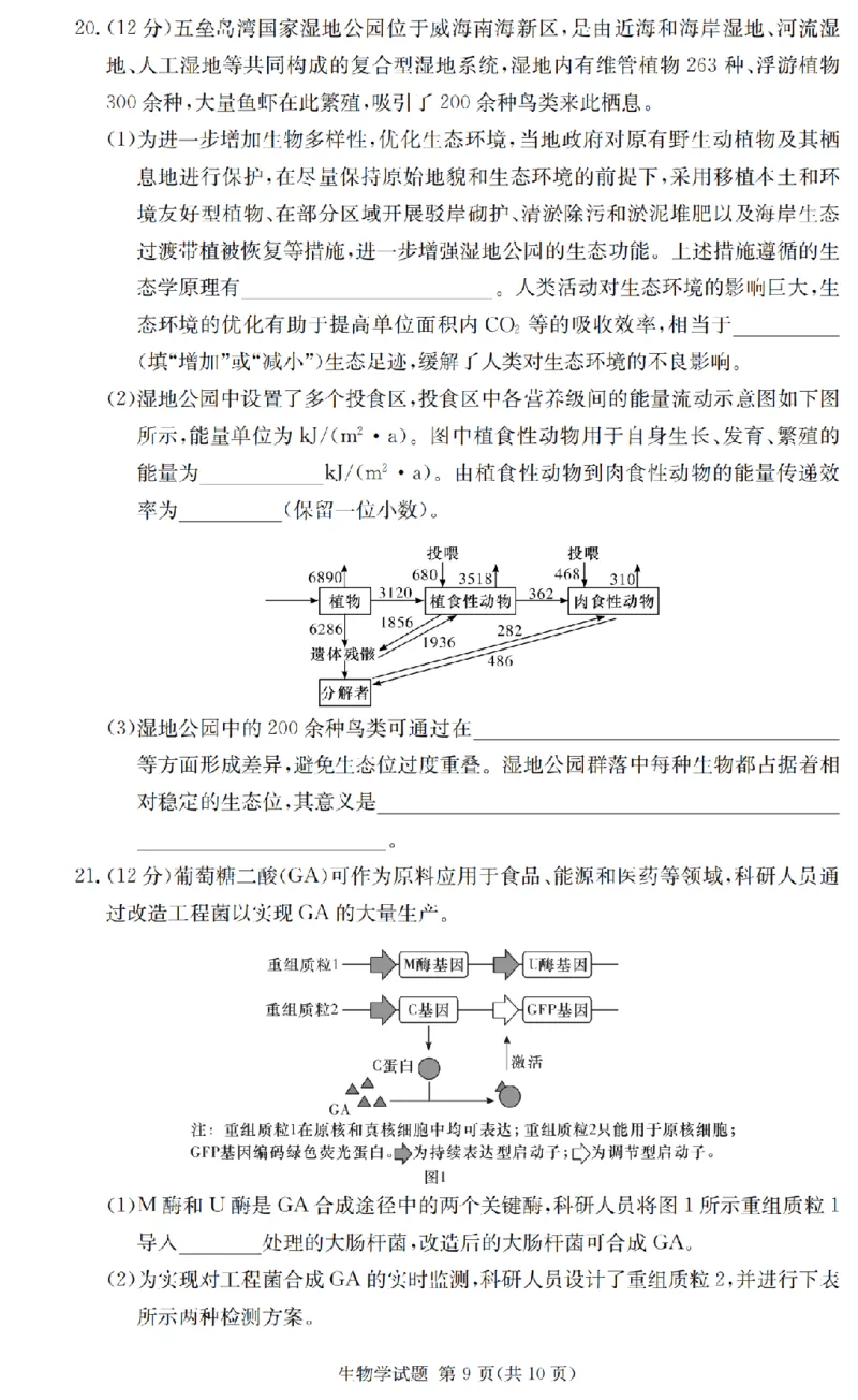 2025届湖南省长沙市第一中学高三上学期摸底考试生物试题+答案_2024-2025高三（6-6月题库）_2024年09月试卷_0920湖南省长沙市第一中学2024-2025学年高三上学期摸底考试