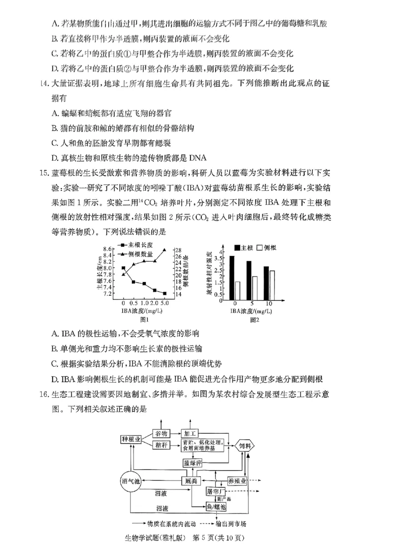 湖南省长沙市雅礼中学2024届高三上学期月考（五）生物(1)_2024年2月_022月合集_2024届湖南省长沙市雅礼中学高三上学期月考（五）