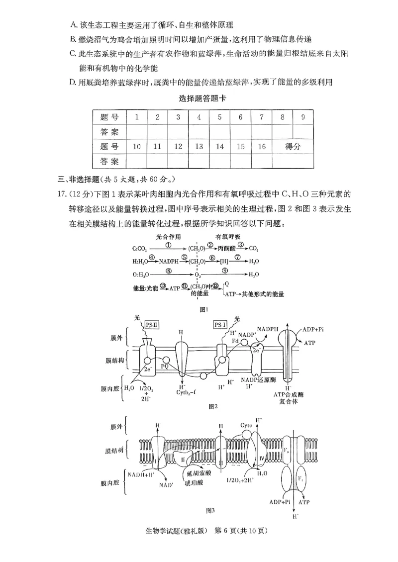 湖南省长沙市雅礼中学2024届高三上学期月考（五）生物(1)_2024年2月_022月合集_2024届湖南省长沙市雅礼中学高三上学期月考（五）