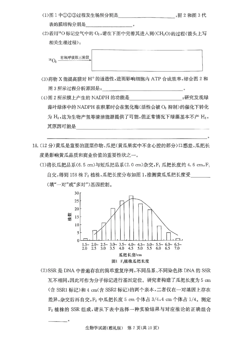 湖南省长沙市雅礼中学2024届高三上学期月考（五）生物(1)_2024年2月_022月合集_2024届湖南省长沙市雅礼中学高三上学期月考（五）