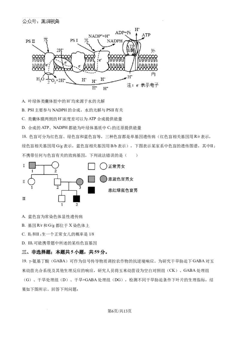 2025届河南省安阳市多校联考高三调研考试（一模）生物试题_2024-2025高三（6-6月题库）_2024年09月试卷_0908河南省天一大联考2024-2025学年高三上学期调研考试