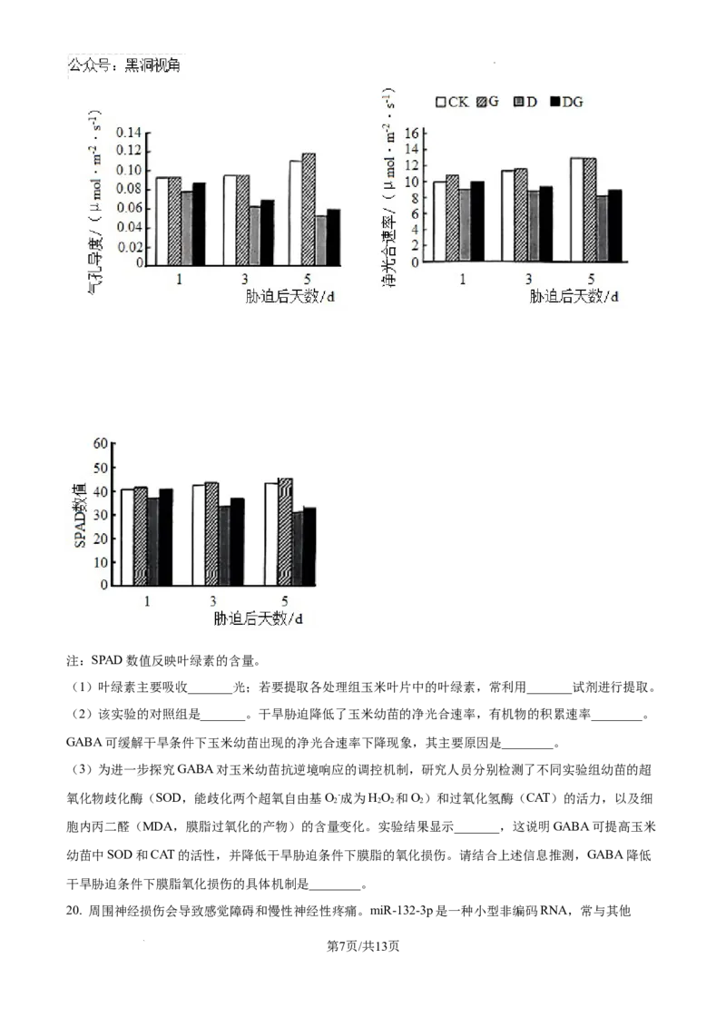 2025届河南省安阳市多校联考高三调研考试（一模）生物试题_2024-2025高三（6-6月题库）_2024年09月试卷_0908河南省天一大联考2024-2025学年高三上学期调研考试