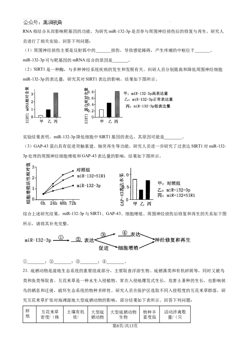2025届河南省安阳市多校联考高三调研考试（一模）生物试题_2024-2025高三（6-6月题库）_2024年09月试卷_0908河南省天一大联考2024-2025学年高三上学期调研考试