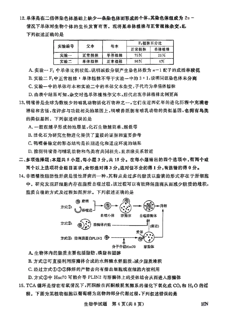 2025届高三金科新未来10月联考生物试卷_2024-2025高三（6-6月题库）_2024年10月试卷_1013河南省2025届高三金科新未来10月联考