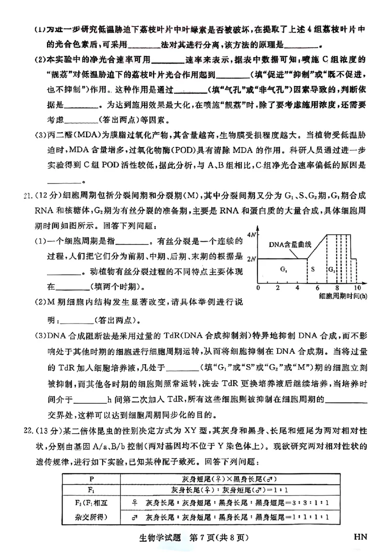 2025届高三金科新未来10月联考生物试卷_2024-2025高三（6-6月题库）_2024年10月试卷_1013河南省2025届高三金科新未来10月联考