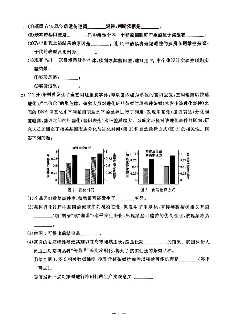 2025届高三金科新未来10月联考生物试卷_2024-2025高三（6-6月题库）_2024年10月试卷_1013河南省2025届高三金科新未来10月联考