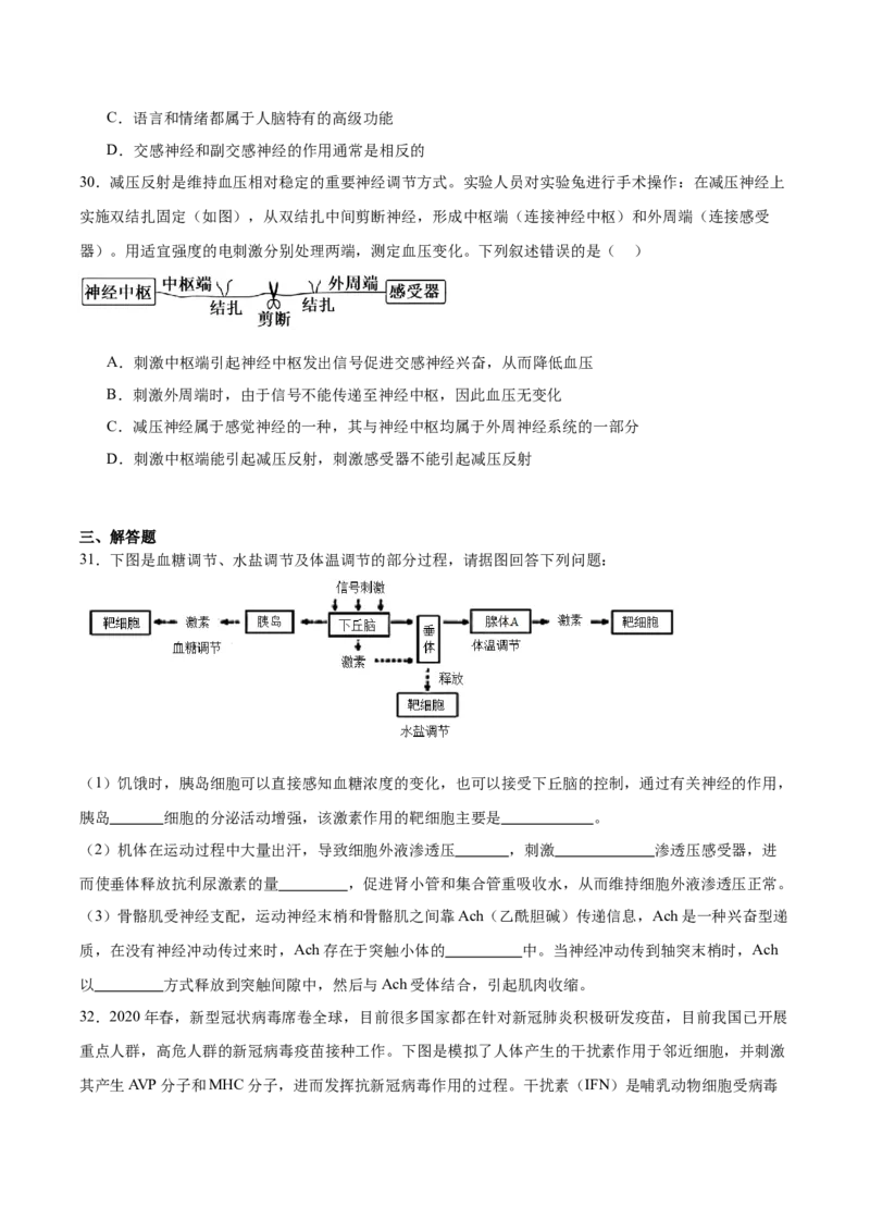 内蒙古呼和浩特市第二中学2025-2026学年高二上学期期中考试生物Word版含答案_2024-2025高二（7-7月题库）_2026年1月高二