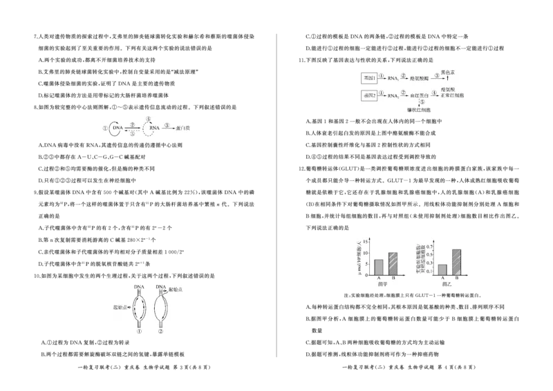 2024届高三一轮复习联考（二）生物试卷（重庆卷）(1)_2023年11月_0211月合集_2024届百师联盟高三一轮复习联考（二）（重庆卷）_百师联盟2024届高三一轮复习联考（二）（重庆卷）生物