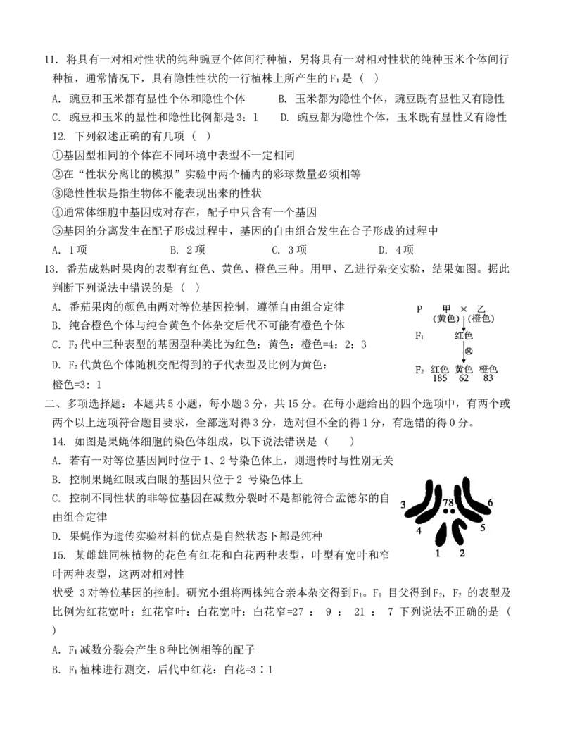 2025届上学期质量检测二_2024-2025高三（6-6月题库）_2024年10月试卷_1021河北省2024-2025学年高三上学期质量检测二_河北省2024-2025学年高三上学期质量检测二生物学试题（含答案）