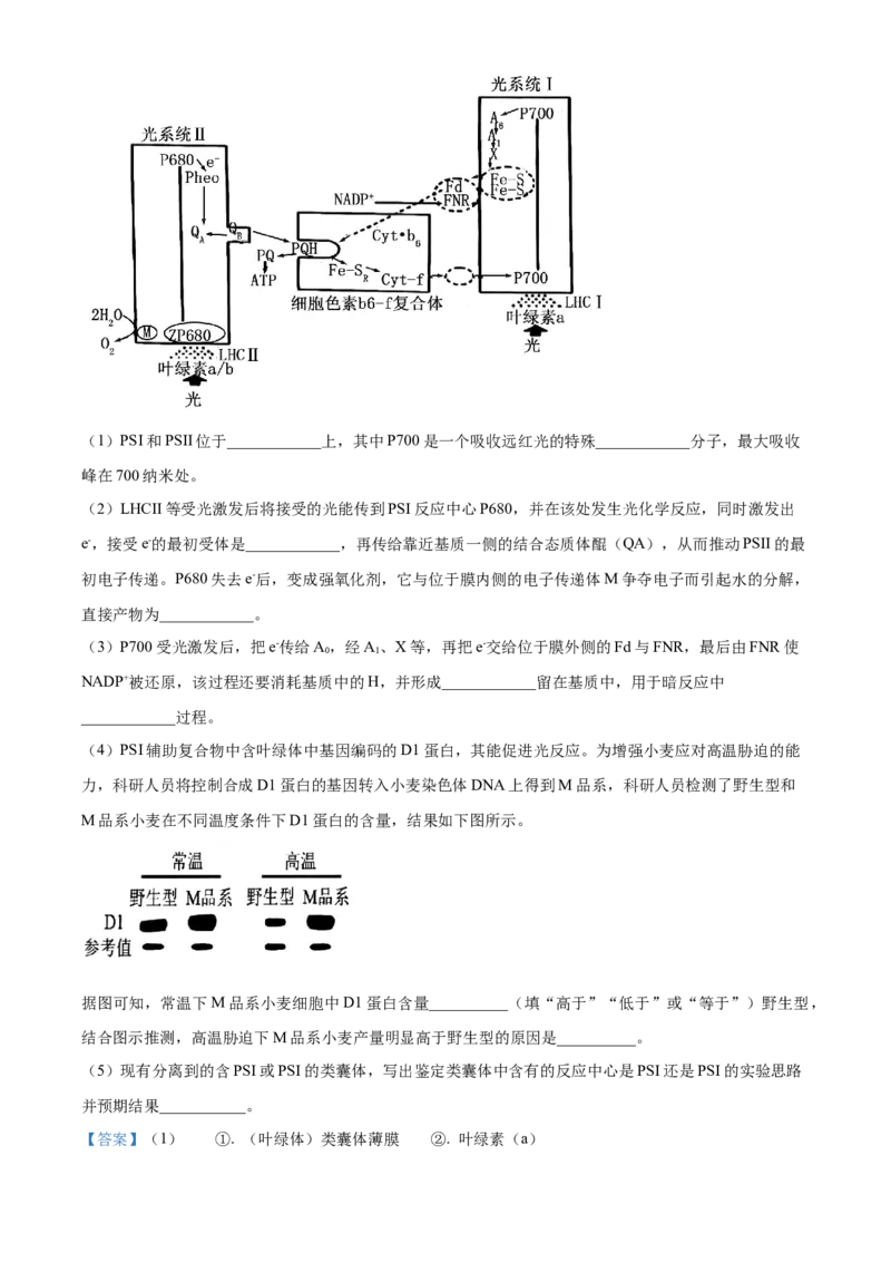 浙江省9+1联盟2024届高三下学期3月联考生物试题（解析版）(1)_2024年4月_024月合集_2024届浙江省9+1联盟高三下学期3月模拟预测